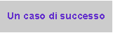 Casella di testo: Un caso di successo